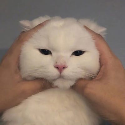 Hatta Rajasa avatar